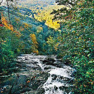 trails in north georgia